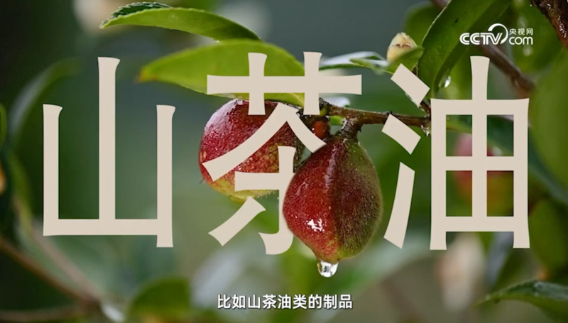 松达山茶油婴童面霜连续5年全国销量第一！CCTV央视网点赞“国货之光”
