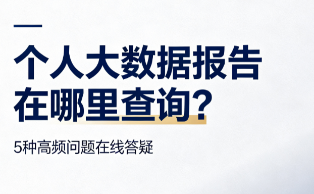 个人大数据报告